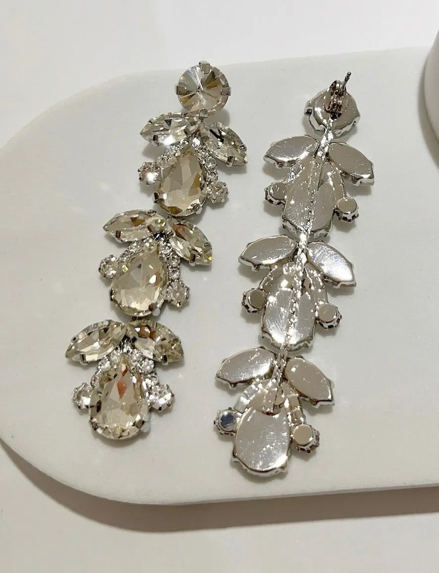 Special Moment Silver Stones Earrings