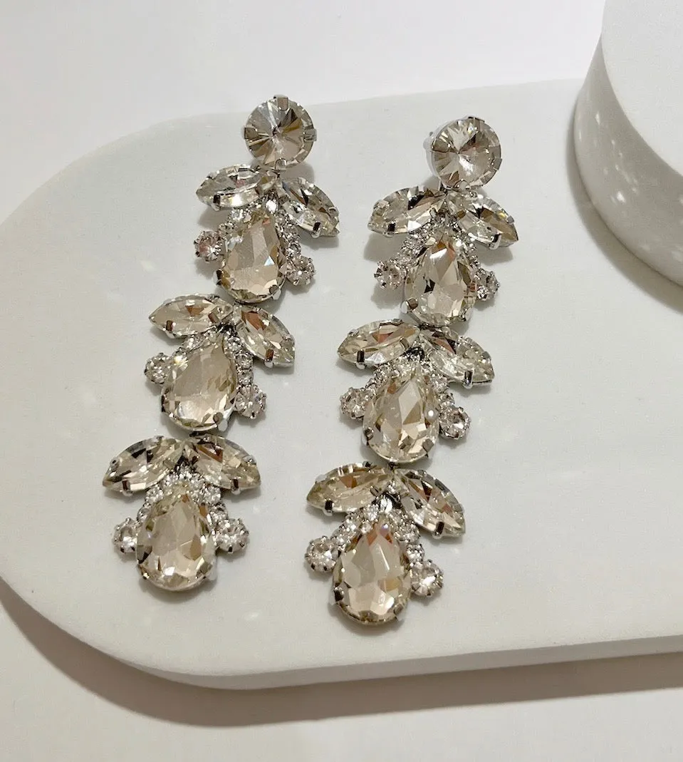 Special Moment Silver Stones Earrings